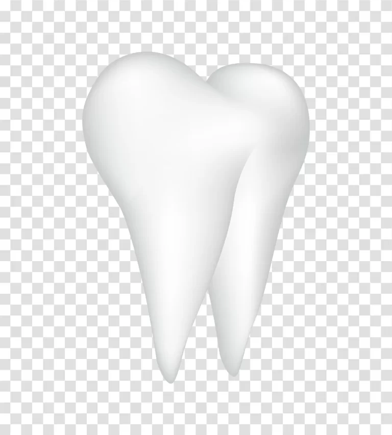 3D Tooth detailed three-dimensional dental illustration transparent png image