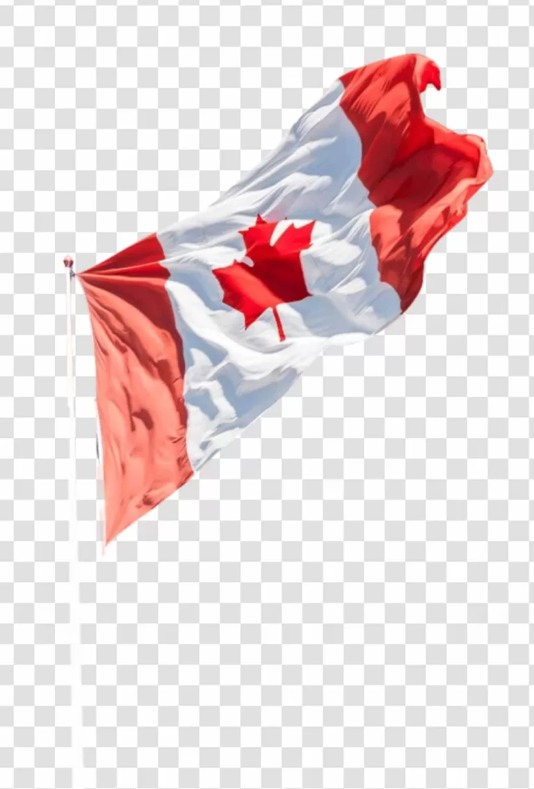 Canada Flag Red and White Maple Leaf Design PNG Transparent National Symbol of Canada