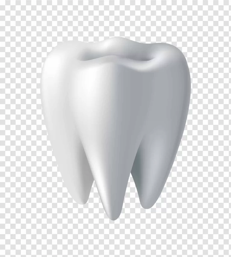 Clean Molar Tooth PNG Dental Hygiene Transparent