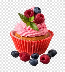 Cupcake sweet treat dessert delight transparent png