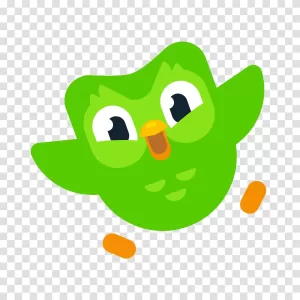 Duolingo logo language learning app owl logo transparent png