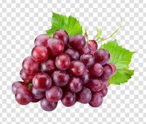 Grapes Succulent and Colorful Fruit PNG Transparent Vibrant and Juicy
