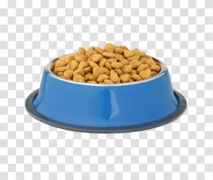 Pet Bowl essential feeding accessory for pets transparent png