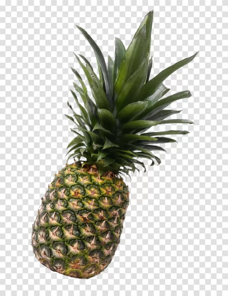 Pineapple tropical and refreshing fruit transparent png
