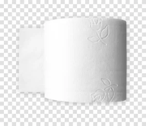 Roll of Toilet Paper PNG Bathroom Essentials Transparent Image