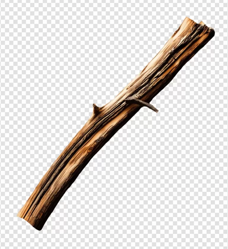 Wood Branch PNG Transparent Natural and Rustic Tree Branch Texture