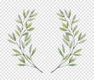 Wreath Watercolor Painting Flower PNG Artistic Floral Decor Transparent