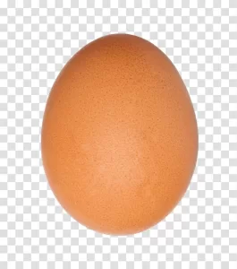 egg essential kitchen ingredient versatile food item transparent png