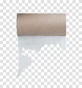toilet paper tube cardboard roll bathroom essential hygiene tissue core transparent png