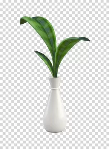 Green Plant in Vase nature-inspired home decor transparent PNG image