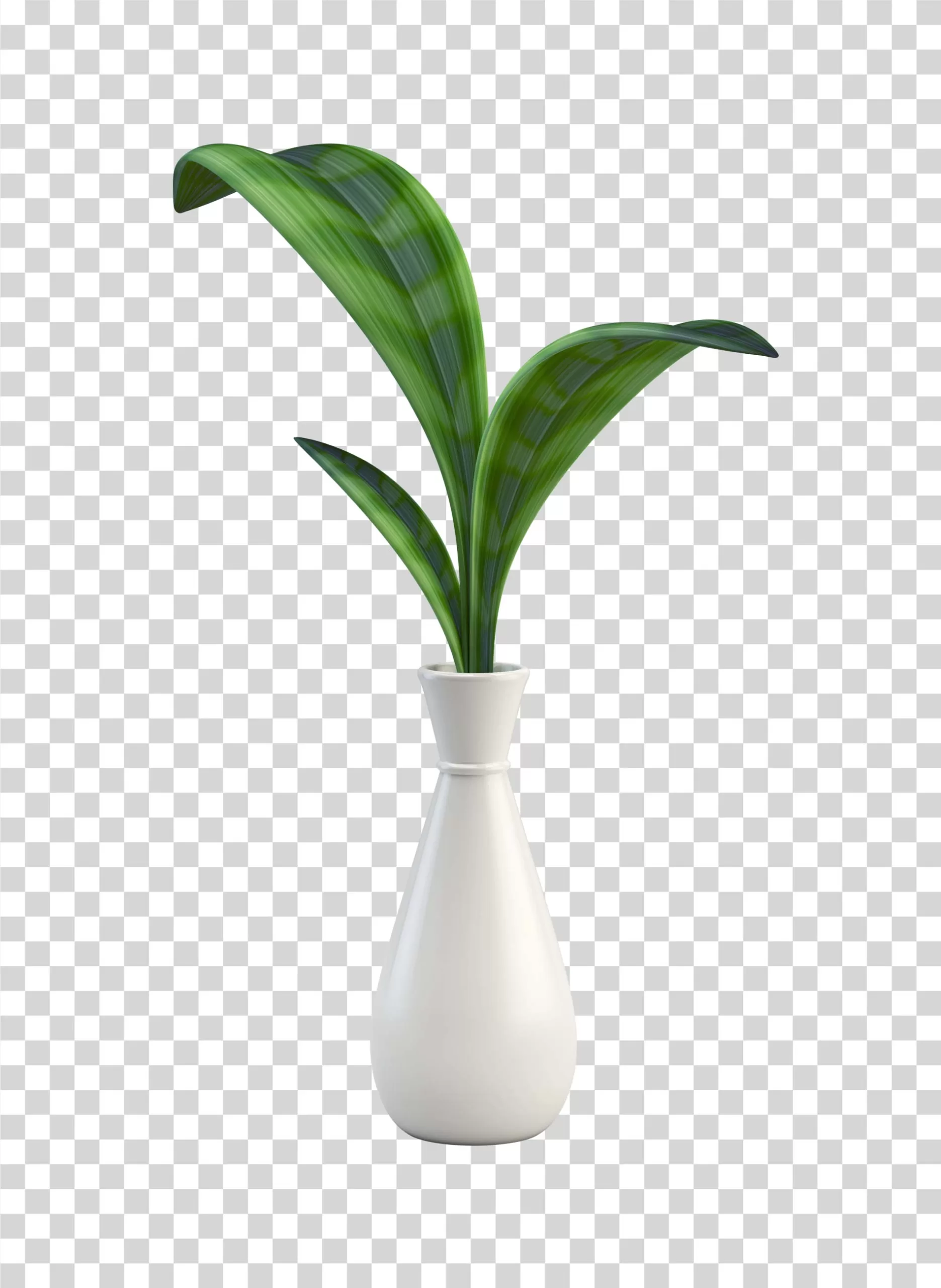 Green Plant in Vase nature-inspired home decor transparent PNG image