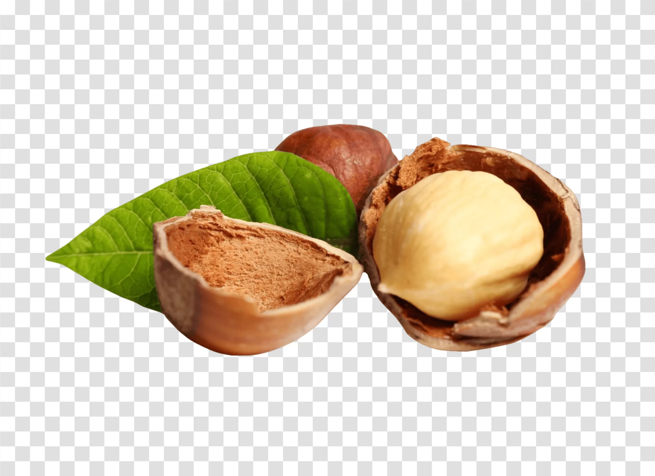 Hazelnuts nutritious nuts snack transparent PNG image