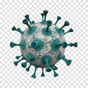 Health Virus, medical illustration, biological theme, transparent png image Health Virus medical illustration biological theme transparent png image