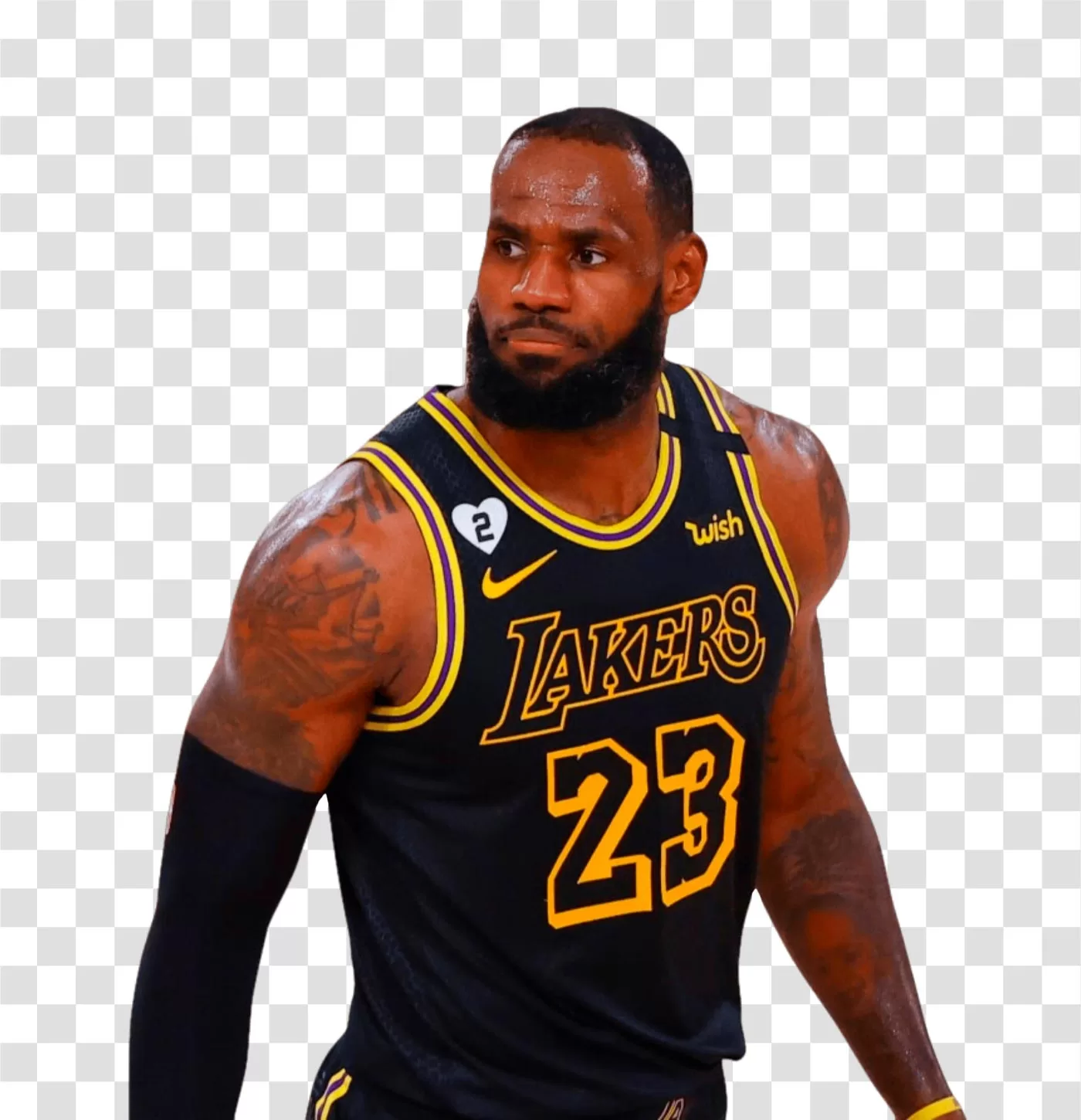 https://i.ibb.co/P1kX2W5/Le-Bron-James-in-Lakers-jersey-NBA-superstar-transparent-PNG-image.png