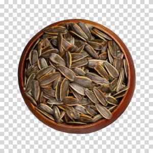 Sunflower Seeds nutritious and tasty snack transparent PNG image
