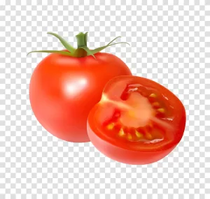 Tomato juicy vegetable transparent PNG image
