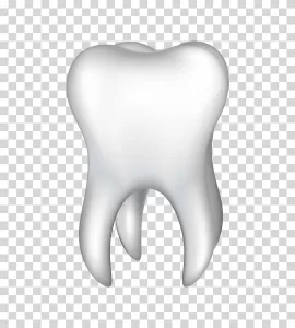 Tooth dental health oral health transparent PNG image