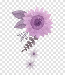 Watercolor Flower Illustration transparent PNG image