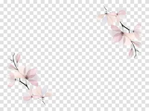 watercolor art invitation card flowers transparent png