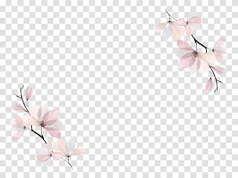 watercolor art invitation card flowers transparent png