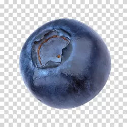 Blueberry berry fruit transparent PNG image