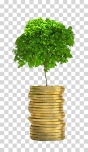 Coins, money, saving, finance, transparent PNG image Coins symbol of money and saving transparent PNG image