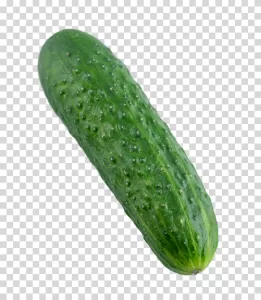 Cucumber green vegetable healthy transparent PNG image