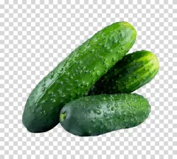 Cucumber vegetable transparent PNG image