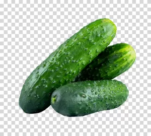 Cucumber vegetable transparent PNG image