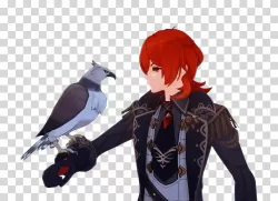 Diluc Genshin Impact game Hoyolab transparent PNG image