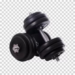 Dumbbells essential fitness equipment transparent PNG image
