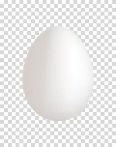 Egg cooking ingredient transparent PNG image