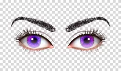Eyes and eyebrows stare optical transparent PNG image