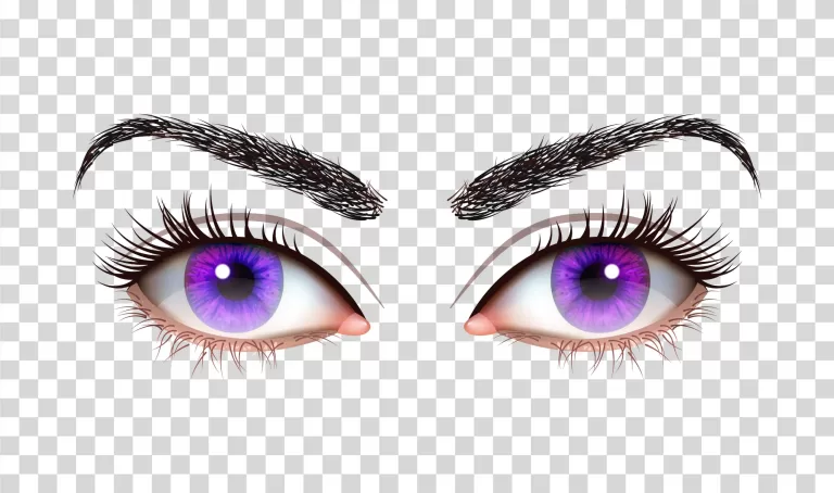 Eyes and eyebrows stare optical transparent PNG image