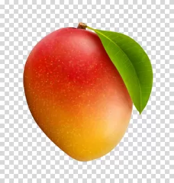 Mango delicious tropical fruit transparent PNG image