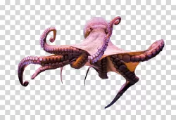 Octopus marine creature animal transparent PNG image