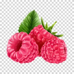 Raspberry fresh berries transparent PNG image