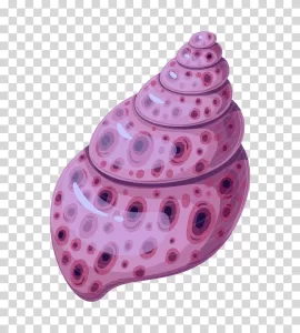 Seashell marine treasure ocean beach transparent PNG image
