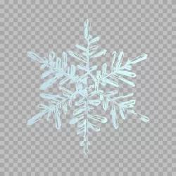 Snowflake ice crystal winter snowfall transparent PNG image