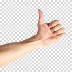 Thumbs Up Hand Illustration Arm and Wrist Transparent PNG Image
