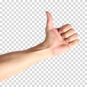 Thumbs Up Hand Illustration Arm and Wrist Transparent PNG Image