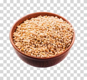 Wheat rye grains transparent PNG image