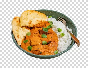 Chicken tikka masala, Indian cuisine, curry, dish, transparent PNG image Chicken tikka masala Indian cuisine curry dish transparent PNG image