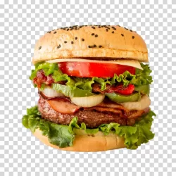 Hamburger tasty fast food transparent PNG image