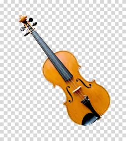Violin music instrument orchestra transparent PNG image