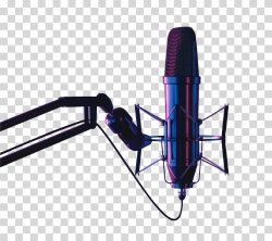 Professional Microphone