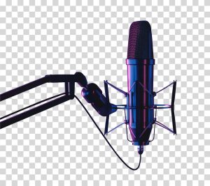 Professional Microphone