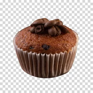 Chocolate Cupcake Sweet Treat