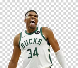 Giannis Antetokounmpo NBA Superstar Milwaukee Bucks