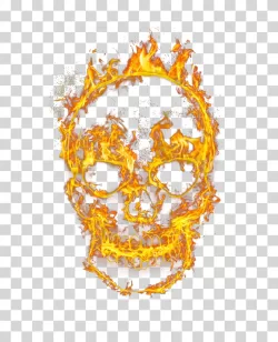 Flaming Skull Fire Skull Illustration Burning Head Transparent